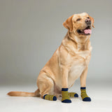 Supersox Dog Socks (Pack of 2) (8N)